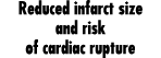 Reduced infarct size and risk of cardiac rupture